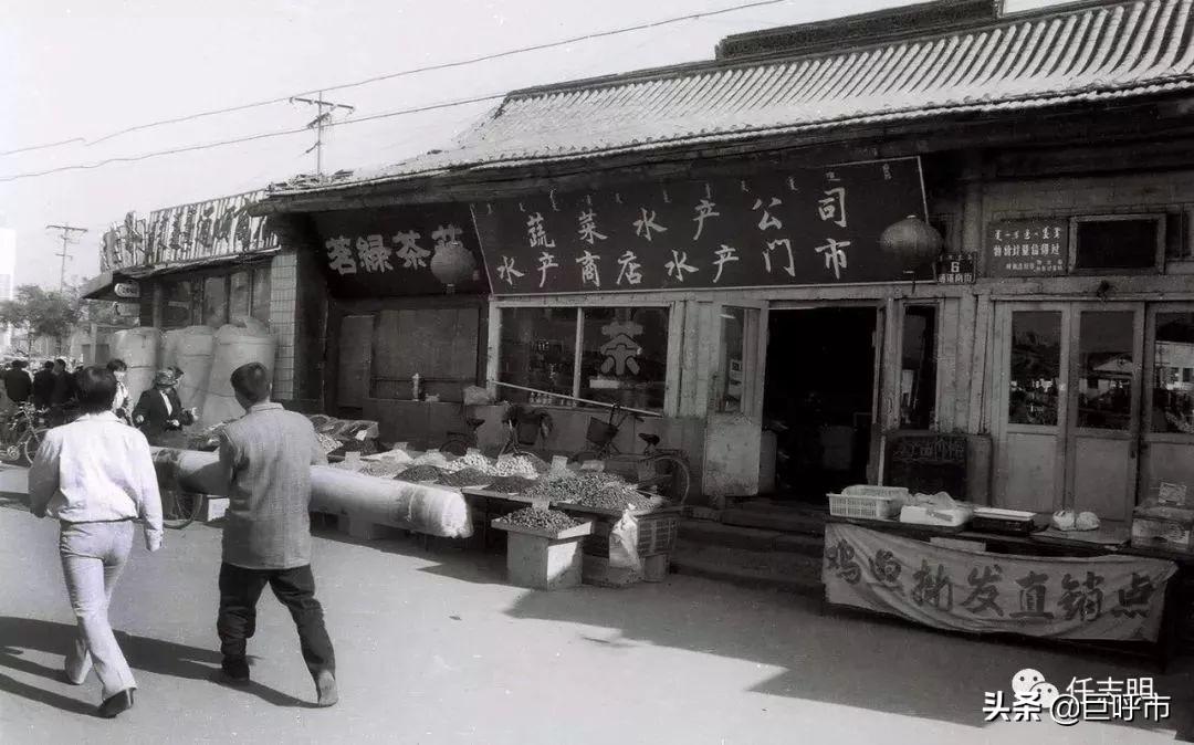 千年古都呼和浩特,现代魅力绽放🌟🏙️